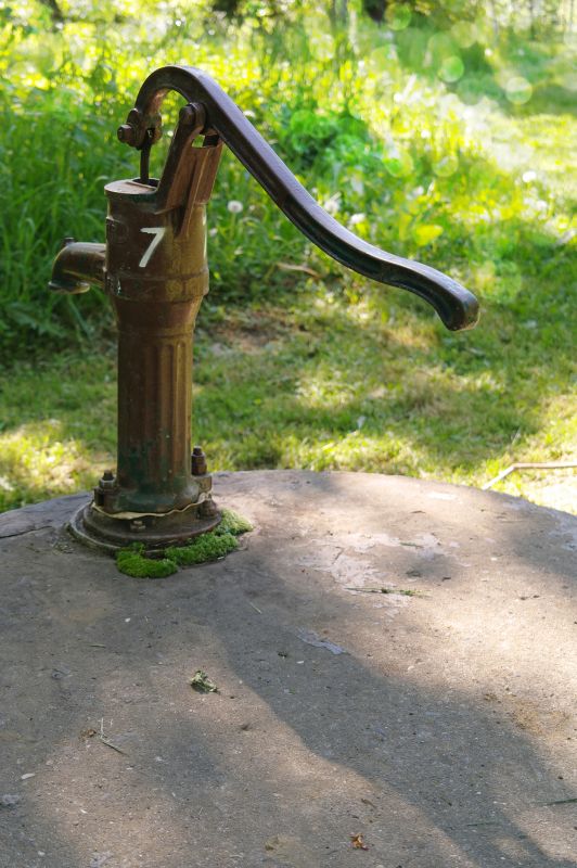 Eco-Friendly Options